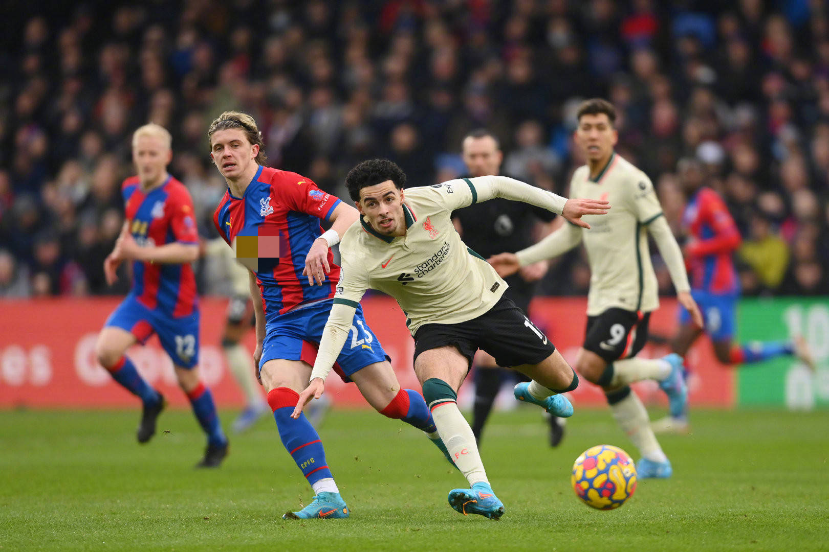 争取在职业 争取在职业